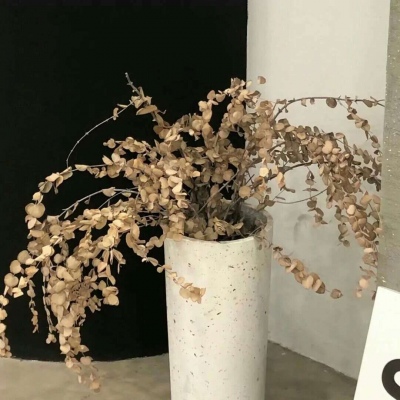 兽设场景氛围营造福瑞交流群